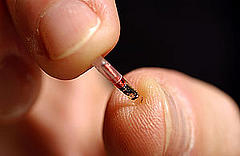 Amerikaanse school gaat leerlingen volgen via RFID-chip
